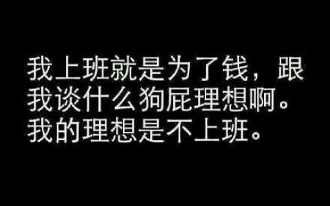 我上班就是为了挣钱，别给我谈什么狗屁理想