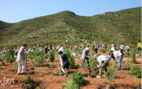 植树节:为什么植树是公民义务