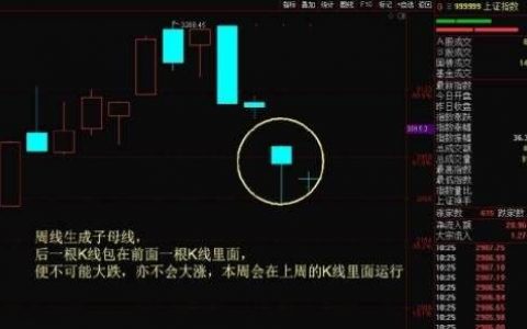 一只股票如何进行基本分析