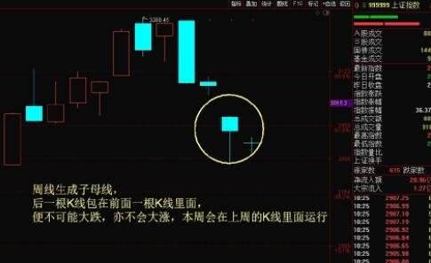 一只股票如何进行基本分析