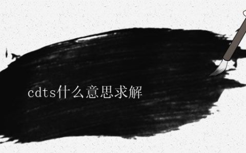 cdts什么意思求解