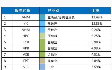 越南vn30指数是什么？