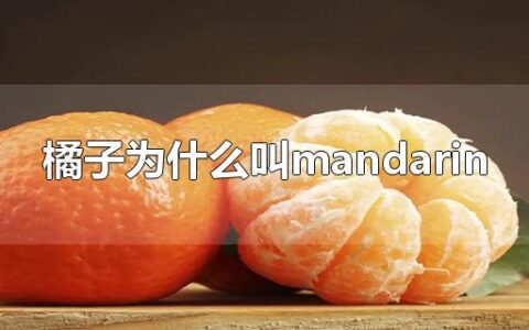 橘子为什么叫mandarin