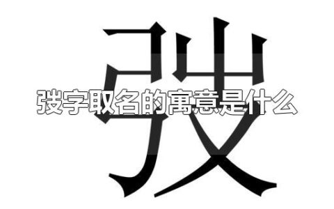 弢字取名的寓意是什么