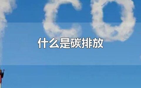 什么是碳排放