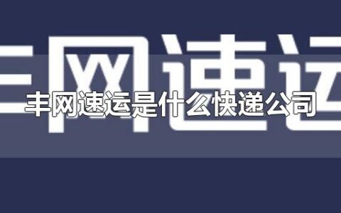 丰网速运是什么快递公司