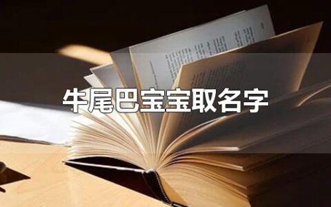 牛尾巴宝宝取名字