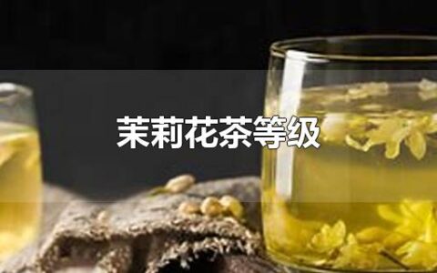 茉莉花茶等级