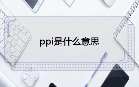 ppi是什么意思