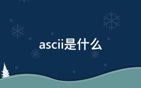 ascii是什么