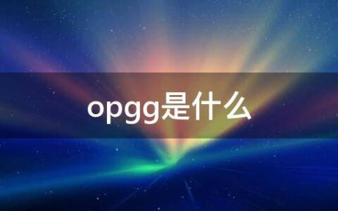 opgg是什么