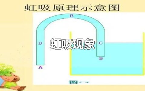虹吸现象