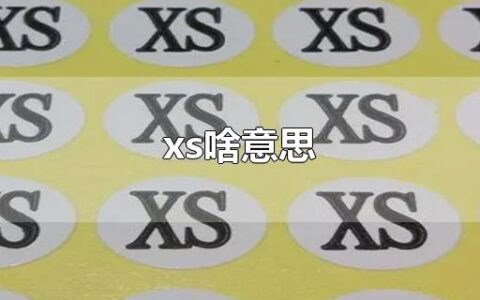 xs啥意思