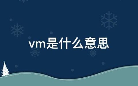 vm是什么意思