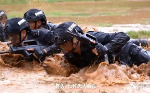 6·26国际禁毒日｜刀尖舞者暗夜为光，春风化雨无悔付出——向全国禁毒警察致敬！