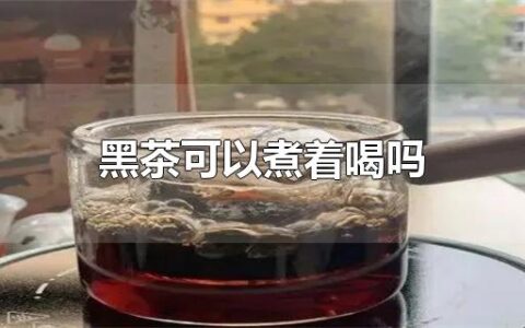 黑茶可以煮着喝吗