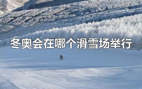 冬奥会在哪个滑雪场举行