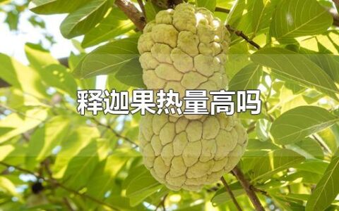 释迦果热量高吗