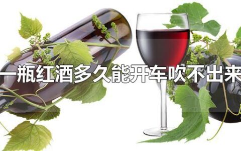 一瓶红酒多久能开车吹不出来