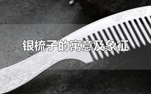 银梳子的寓意及象征