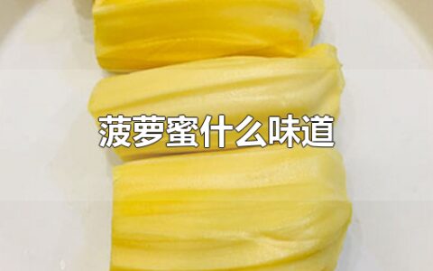 菠萝蜜什么味道