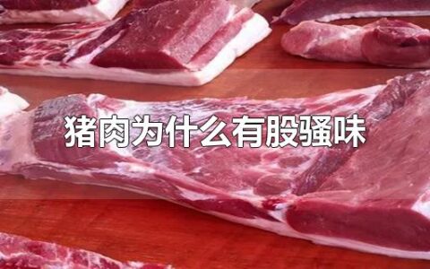 猪肉为什么有股骚味