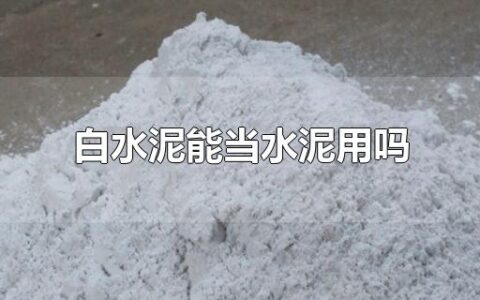 白水泥能当水泥用吗