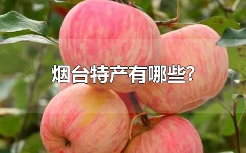 烟台特产有哪些?