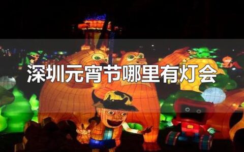 深圳元宵节哪里有灯会