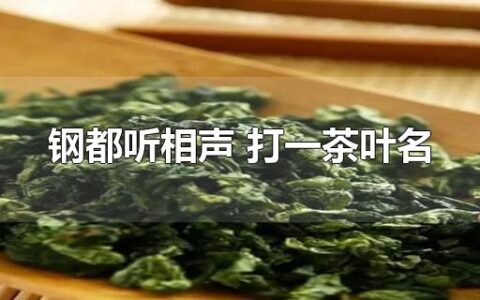 钢都听相声 打一茶叶名