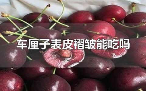 车厘子表皮褶皱能吃吗