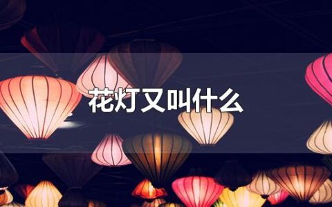 花灯又叫什么