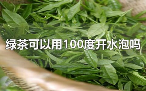 绿茶可以用100度开水泡吗