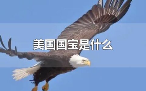 美国国宝是什么