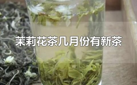 茉莉花茶几月份有新茶