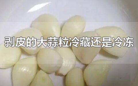 剥皮的大蒜粒冷藏还是冷冻