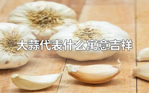 大蒜代表什么寓意吉祥