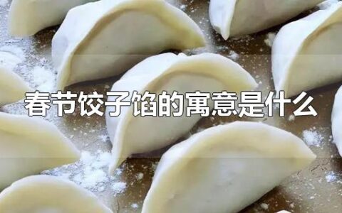 春节饺子馅的寓意是什么