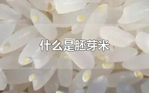 什么是胚芽米