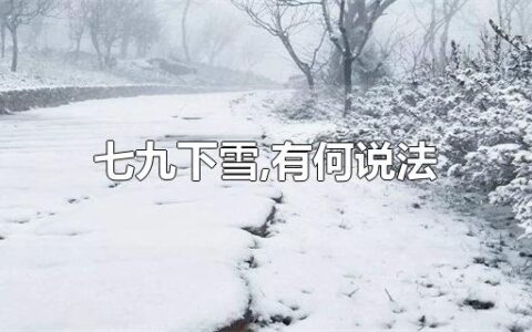 七九下雪,有何说法