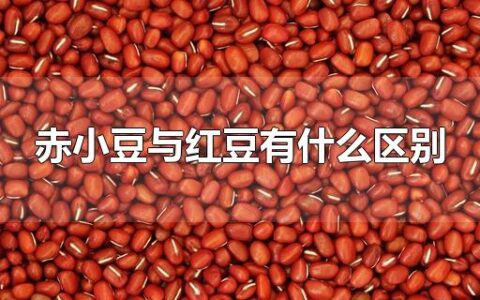 赤小豆与红豆有什么区别