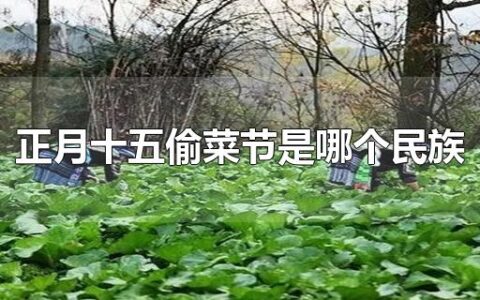 正月十五偷菜节是哪个民族