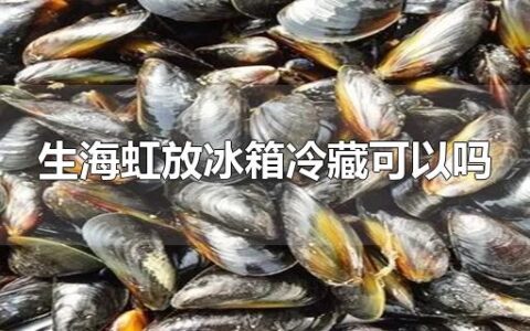 生海虹放冰箱冷藏可以吗