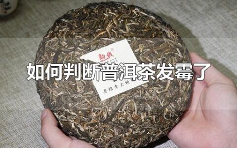 如何判断普洱茶发霉了