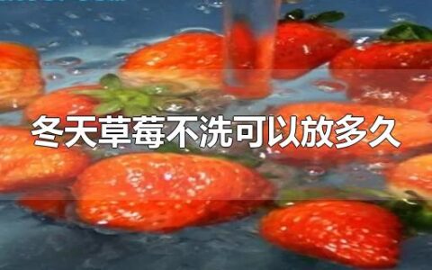 冬天草莓不洗可以放多久