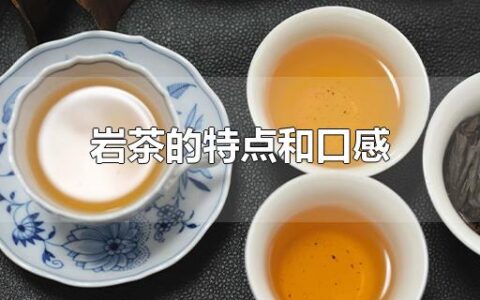 岩茶的特点和口感