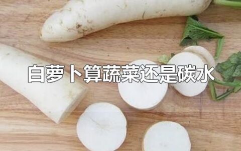 白萝卜算蔬菜还是碳水