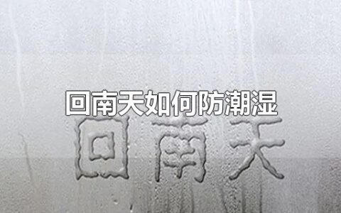 回南天如何防潮湿