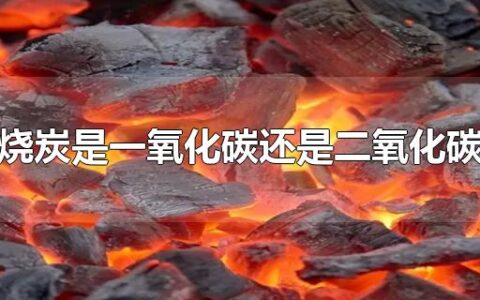 烧炭是一氧化碳还是二氧化碳