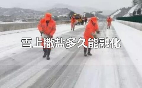 雪上撒盐多久能融化